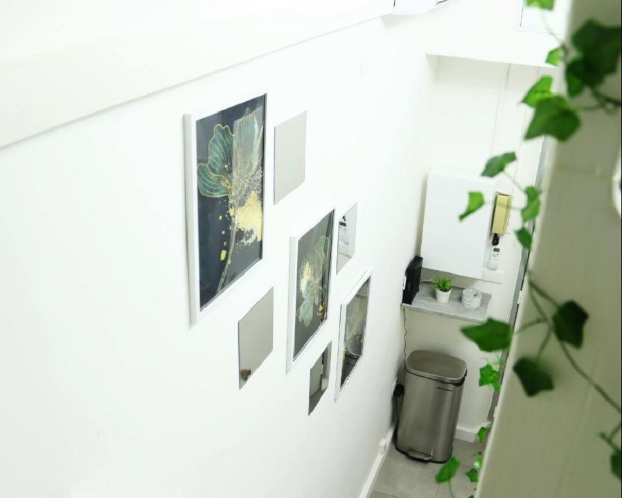 Jungleroom Connecte ! Au Coeur Du Vieux *