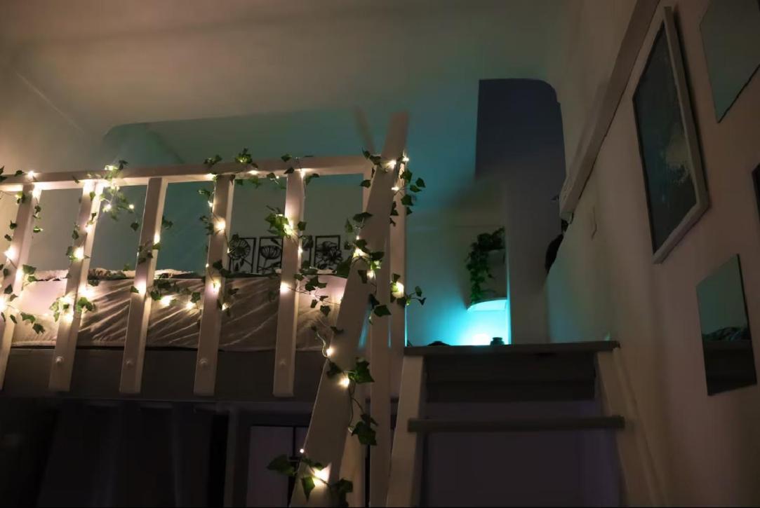 Jungleroom Connecte ! Au Coeur Du Vieux Lejlighed Nice