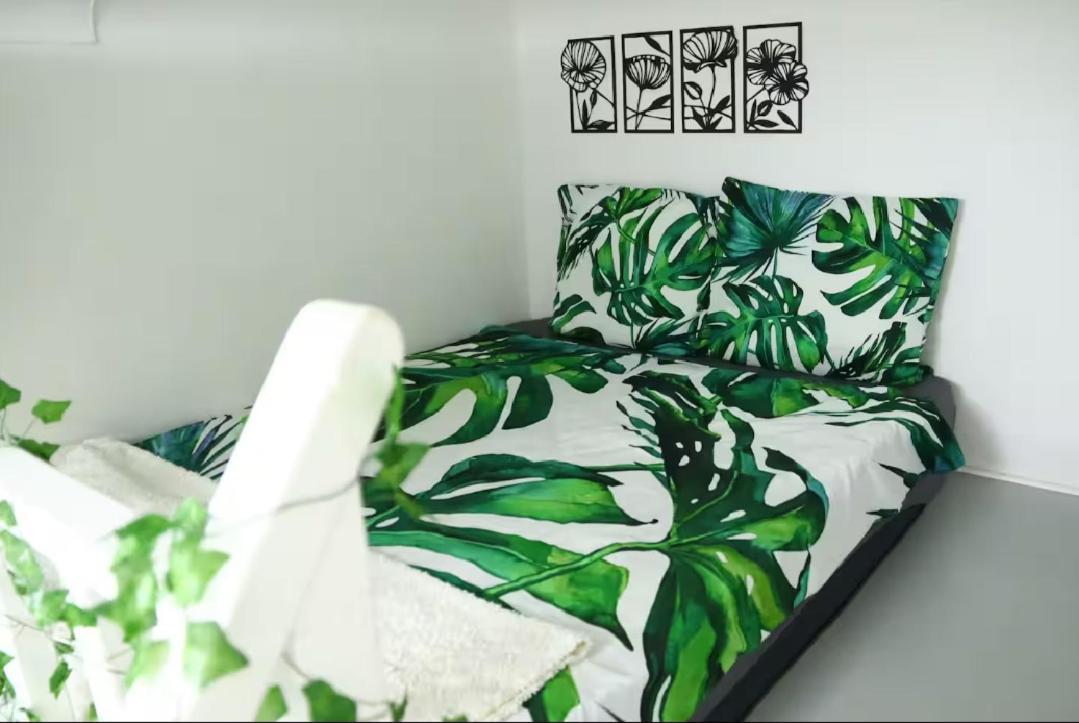 Jungleroom Connecte ! Au Coeur Du Vieux Lejlighed *